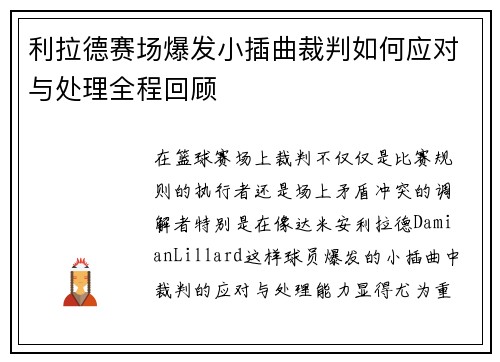 利拉德赛场爆发小插曲裁判如何应对与处理全程回顾